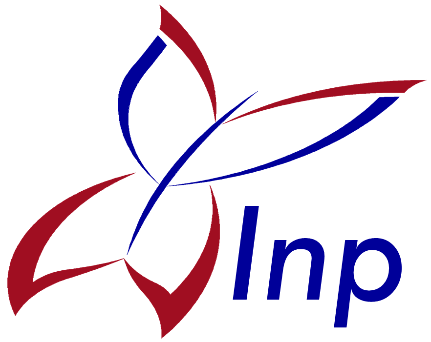 Logo do INP Instituto Neuropsicologia